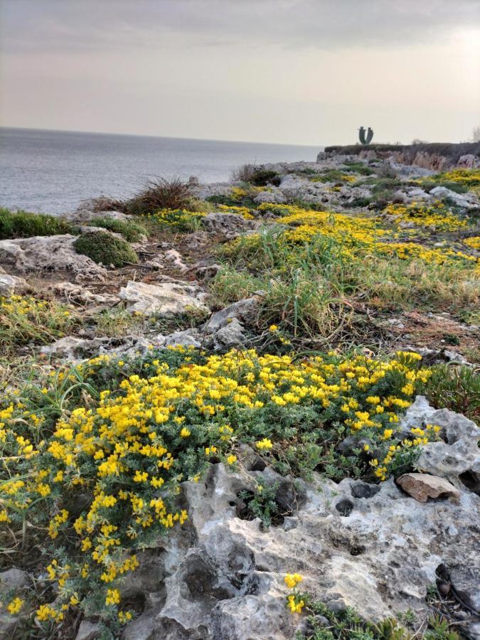 Grupoandria Villa Julia Cala en Forcat Kültér fotó